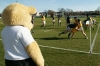 Bruno the Bear keeps watch on the warm-up
